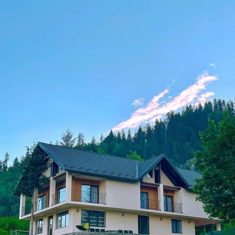 Silver Mountain Villa Colibiţa Zewnętrze zdjęcie