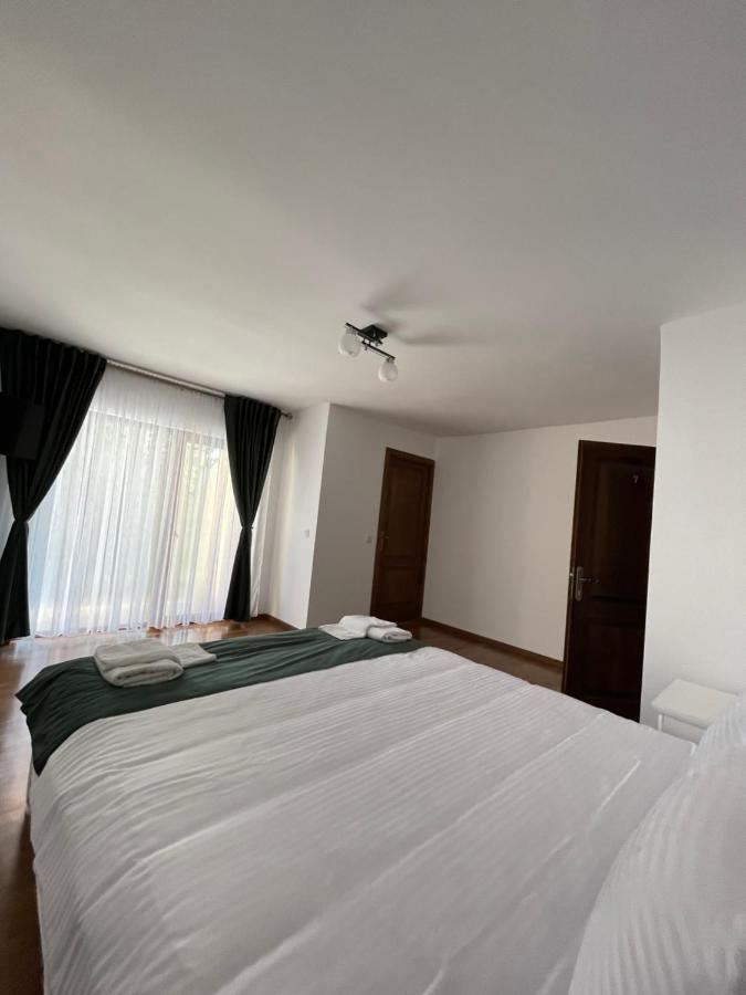 Silver Mountain Villa Colibiţa Zewnętrze zdjęcie