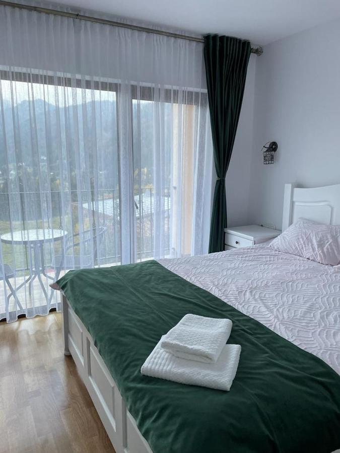 Silver Mountain Villa Colibiţa Zewnętrze zdjęcie